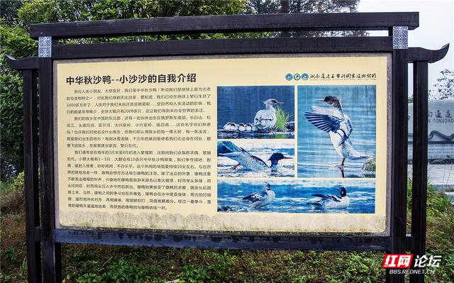 岁暖时刻丨冬日通道玉带河：被晨雾唤醒的山水画廊