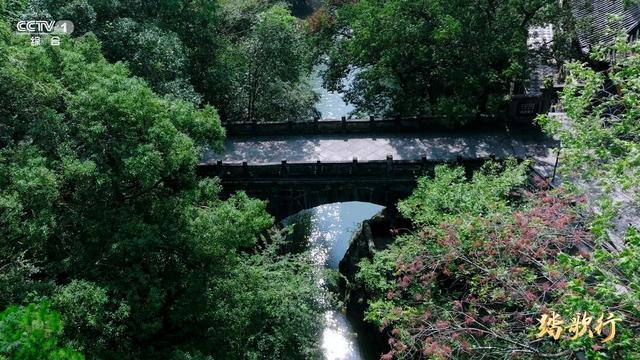 “匡庐奇秀，甲天下山” 《踏歌行》深挖庐山诗意玄机