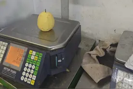 超市免费的塑料袋儿，实际上也称重收费！您注意到了吗？图片