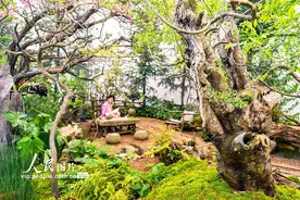 江苏苏州：2024花园大会暨国际花园设计周开幕图片