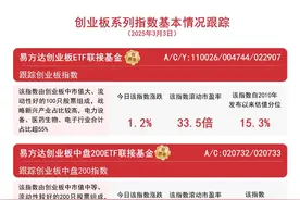 创业板反弹,易方达创业板 ETF联接基金(A/C/Y:11 0026/004744/022907) 等助力布局创新型企业图片