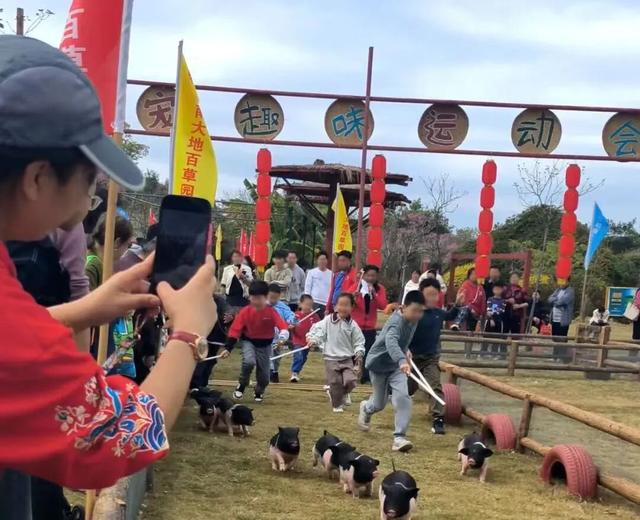 好梦幻！首届“蓝色晶溪•莫奈花园”！国庆假期来珠海这里