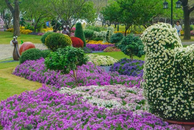 苏州的秋天，给你点“颜色”看看！