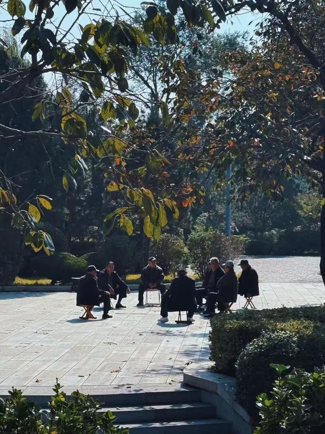 记者实拍！肥城五彩斑斓的景色，每一帧都是写给秋日的情书~