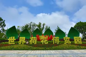 拖欠巨额工程款？A股公司讨债4A级景区图片