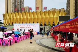 新邵县林业局：护航安全生产 优化营商环境图片