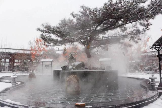 山海有情 冰雪辽宁丨告别“猫冬”！在辽宁体验滑雪、温泉、赶集的“三重快乐”