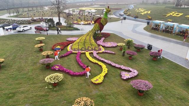 明日开启！池州人等了一年！