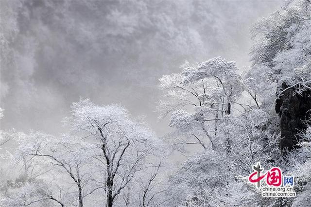 只有一个黄山：黄山雪后初霁景美如画(图)