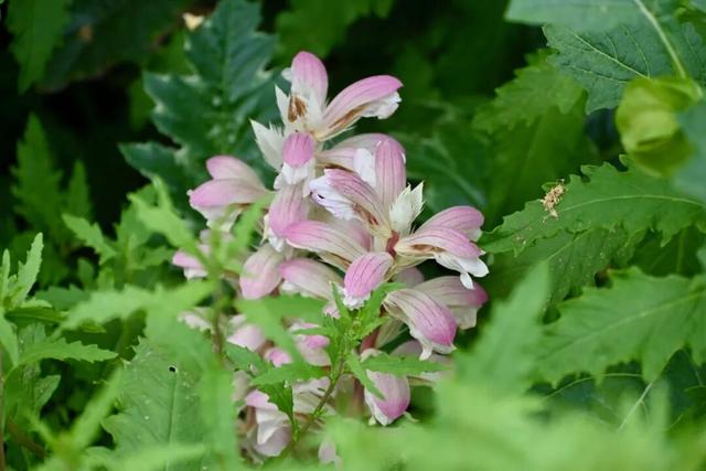 在川大，这是我的珍藏地！