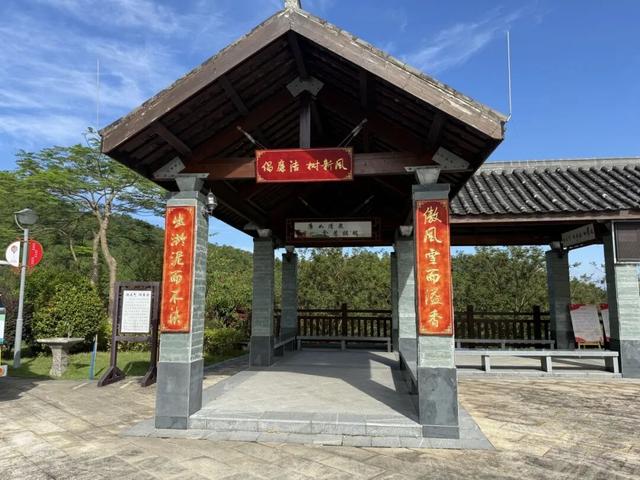 来啊，一起“躺坪”！增城「露营公园」指南→
