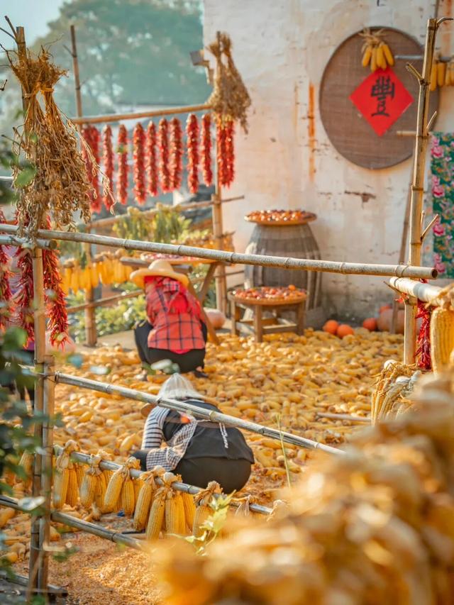 把婺源记忆带回家！婺源两大特色旅游商品上新