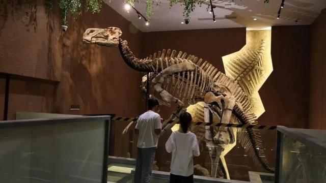 德州这一景区，本周末免费入园！