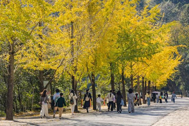 “秋假”第一站！上饶把最美的颜色，“晒”给你看