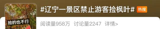 景区禁止游客捡枫叶是小题大做吗