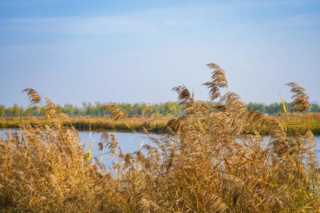 全部免费!西安4个冬日晒太阳好去处!