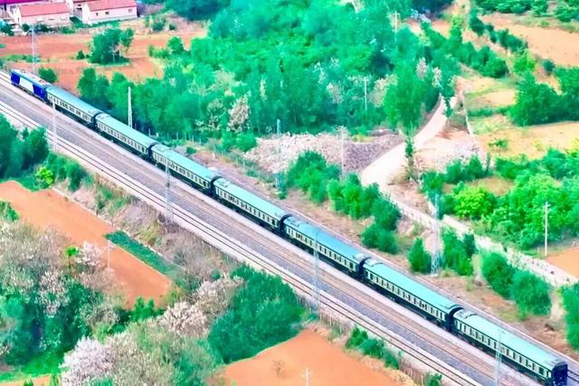 明确了！淄博的春天这样玩，过瘾