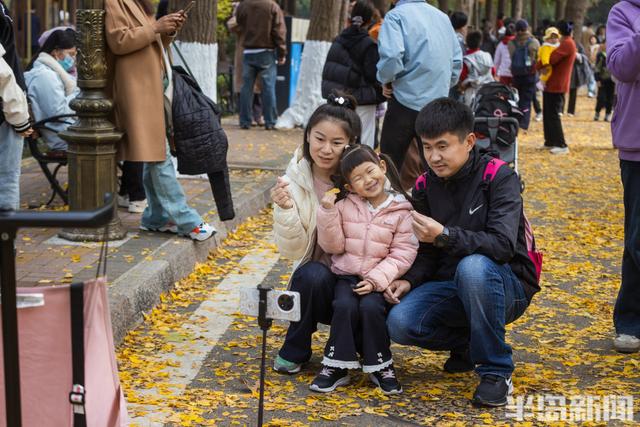 青岛故事 | 八大关银杏大道流量十足，这款落叶帽子火了！