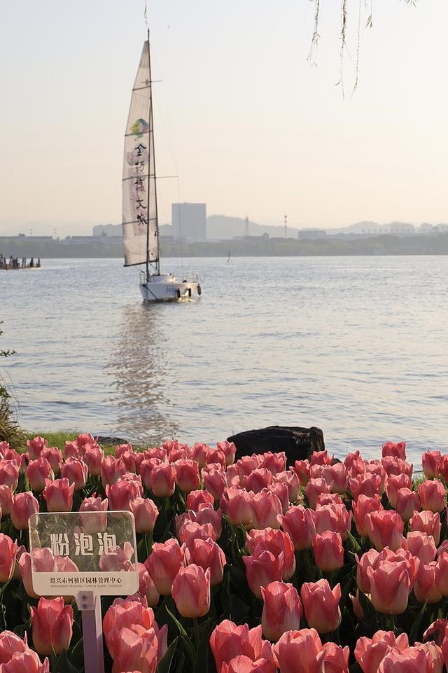 赏花踏青正当时 用一场ColorWalk邂逅浙江春日浪漫