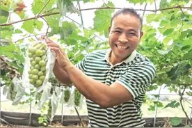 金融活水润泽龙都乡村大地图片