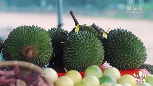 新华社携手董宇辉，走进广西的蔚蓝海岸……