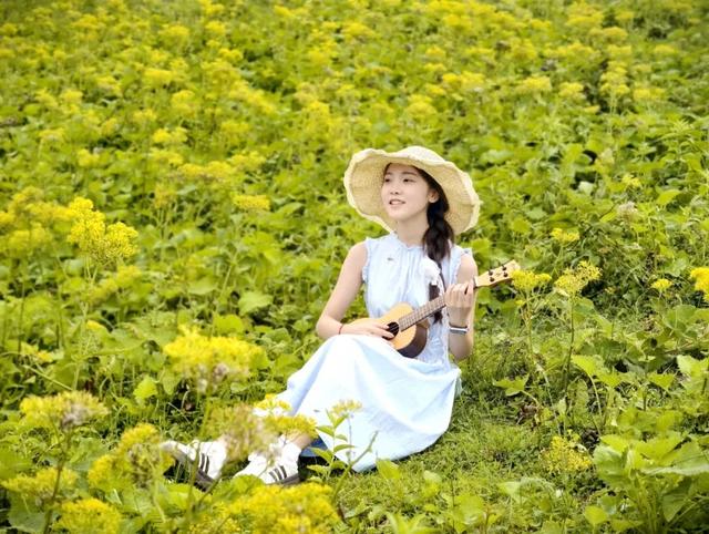 灌阳宝盖山藏不住了！夏天的山野，全是摇曳的小黄花