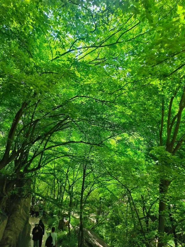 这条三日游线路非常适合亲子游，千年古都，文化与美景尽收