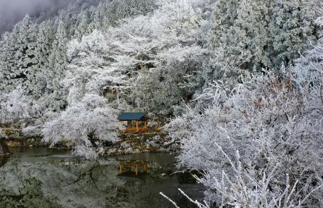 多图直击融水雾凇美景