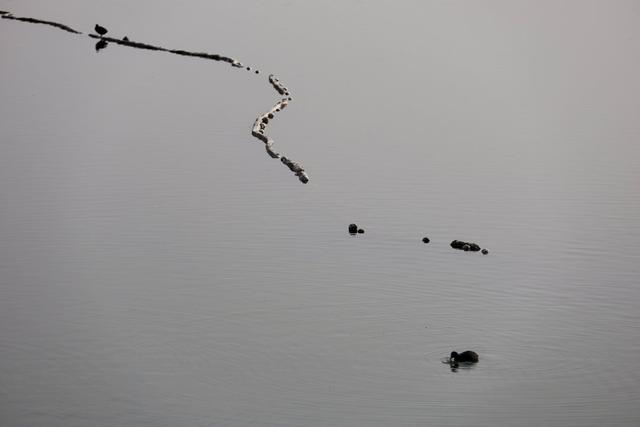 新视界｜济南：“大雪”华山美 游客乐游园