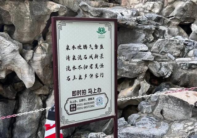 已进入最佳观赏期，济南明确：不扫！