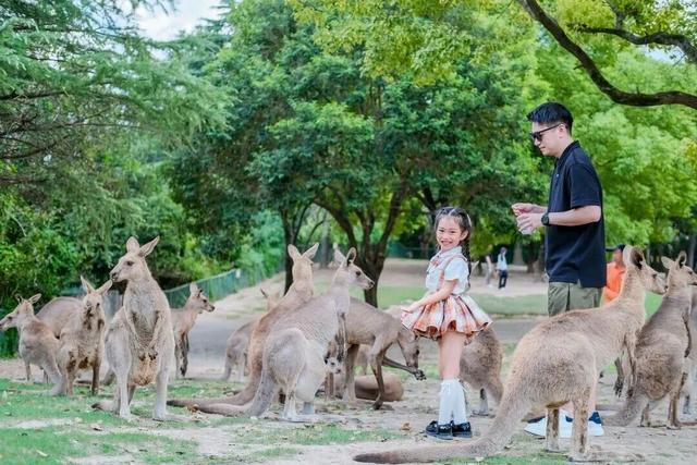 上新啦！魔都这些地方又有新玩法