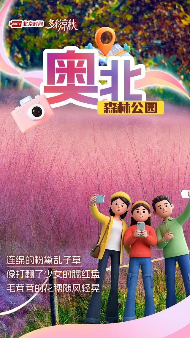 北京6大粉黛花海正盛放！美到窒息，再不去就晚了