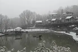 湖北今天下雪了！大风降温，还有雨雪……图片