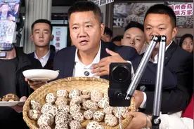 “小明正能量” 随州香菇直播带货专场掀起销售狂潮！图片