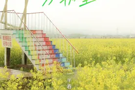 海报｜春分至，启幕“安仁赶分社”图片