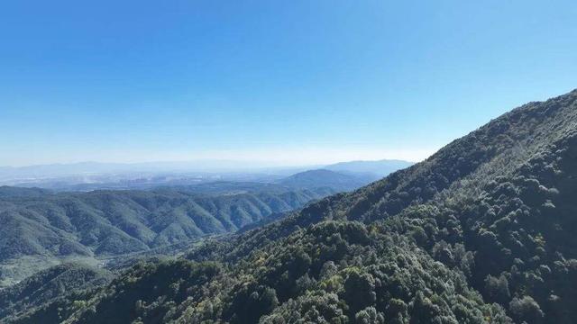 自在嵩明丨层峦碧水、林间野趣、美食垂钓……近郊旅行就来杨桥西山大村子