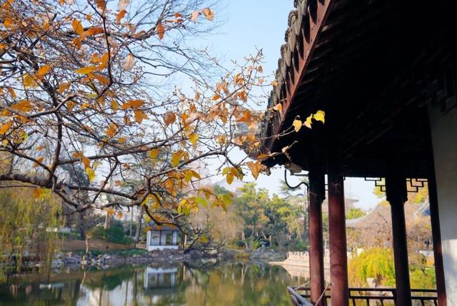 太仓“中式美学天花板”，要来了！