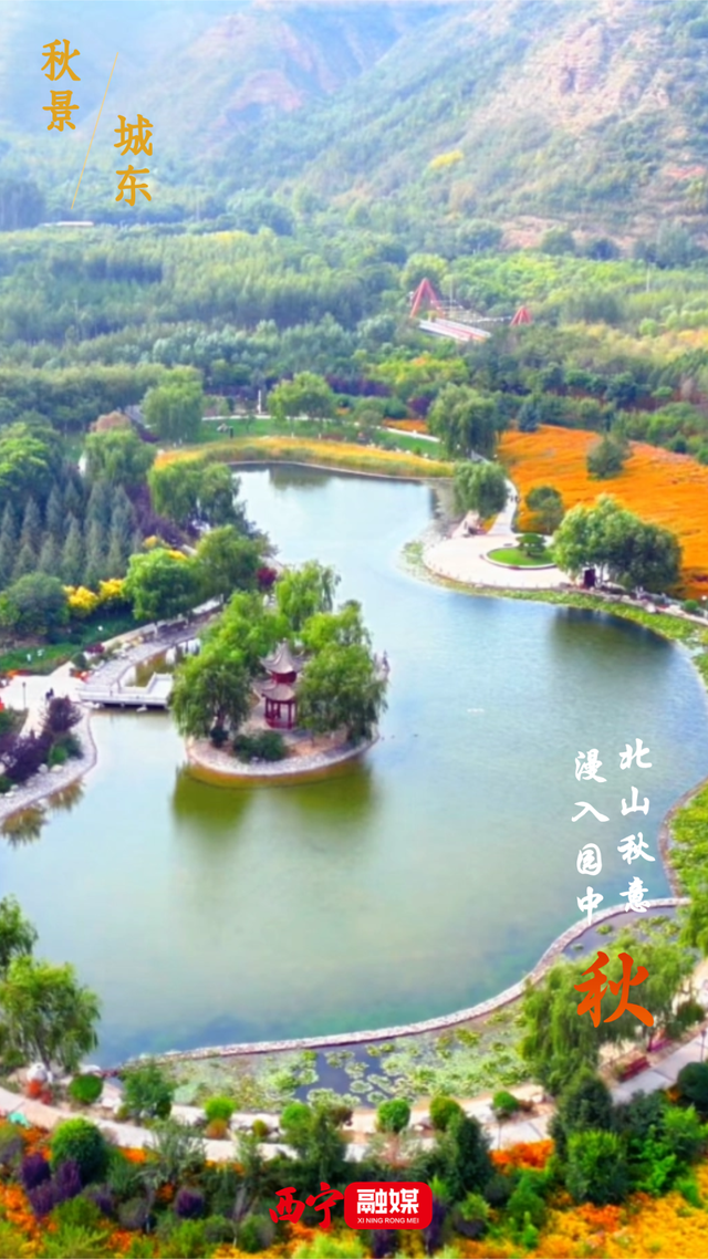 别等了！西宁秋景已上线，一眼心动🥰