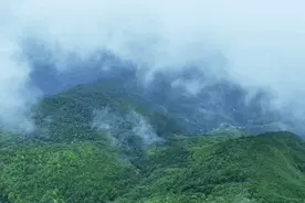 深山中什么样？擅自进山有多危险？有关哀牢山的疑问这篇都回答了图片