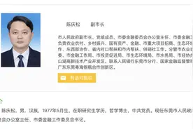 东莞市政府领导分工调整，陈庆松分管松山湖高新区图片