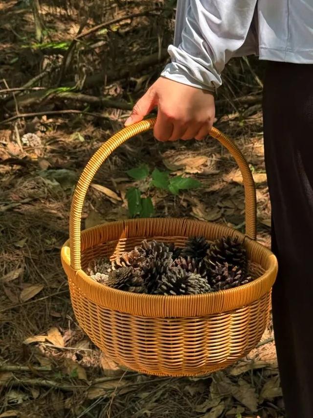 3天2晚「群山之心探秘」，超值亲子游体验共创回忆