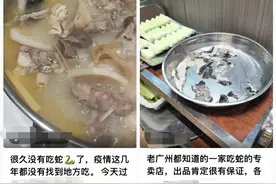 广州辟谣蛇可食用之后，有餐厅仍在销售，“包括毒蛇”图片