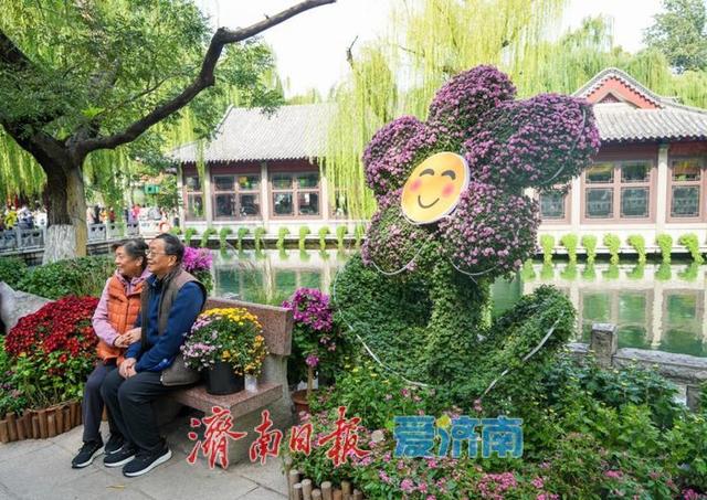 秋日胜景入画来！第46届趵突泉金秋菊展盛装启幕，泉城赏菊盛宴震撼登场