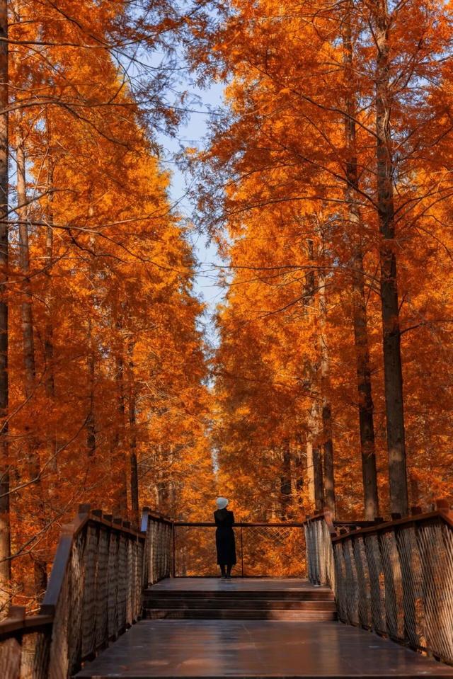 辞家千里又千里，盐城想你很想你