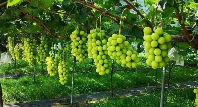 立秋，开启桂林秋季之美丨秋风染山水，峰丛浅淡装