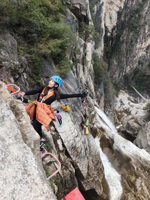 别再问了！洛阳秋色天花板，就藏在这里→