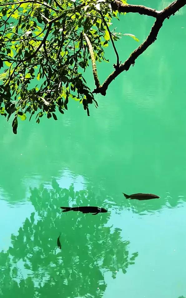 现在的黔南，已经美成这样了→