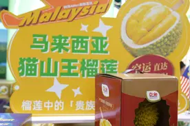 进博好物 | @榴莲爱好者，马来西亚猫山王鲜榴莲首次全新准入中国图片