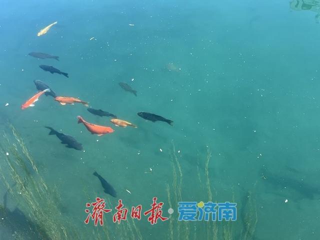 阳光洒满五龙潭 初冬景致引市民打卡休闲