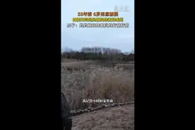 等了35年，这口蜜带他回家图片